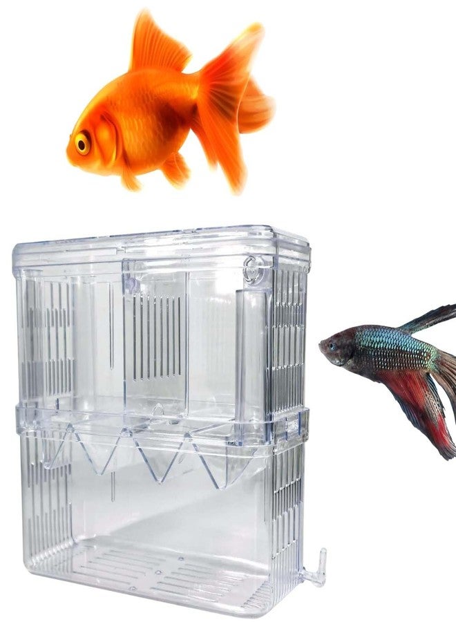 سايج سكوير حجرة عزل الأسماك من سيج سكوير، حل آمن وفعال لفصل الأسماك في أحواض السمك، فاصل للأحواض، حوض للحجر الصحي، حجرة مقسمة لحوض السمك، منطقة حماية لحوض السمك (صغيرة) - Image 1